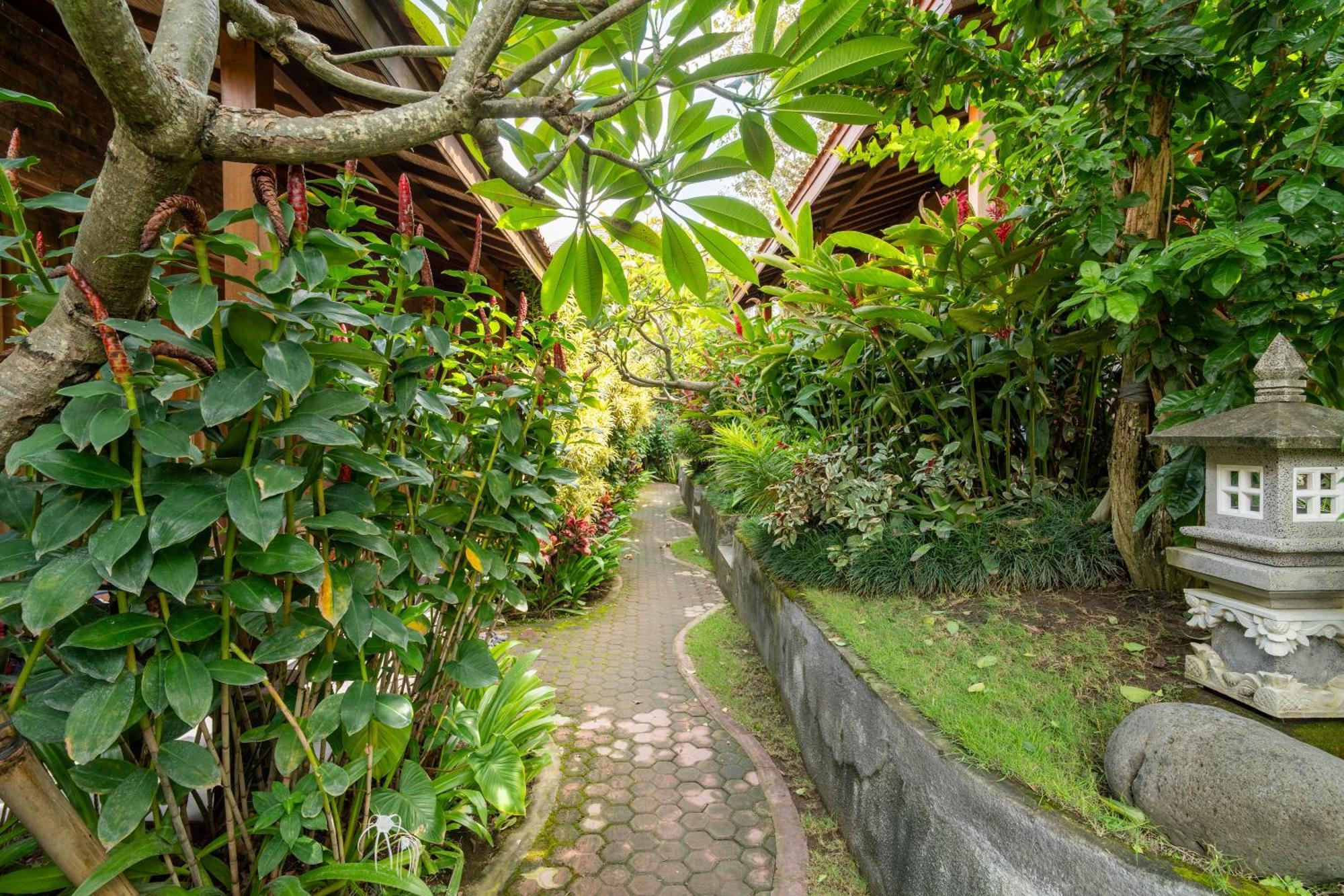 Jinar Guest House Canggu  Luaran gambar